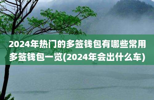 2024年热门的多签钱包有哪些常用多签钱包一览(2024年会出什么车)