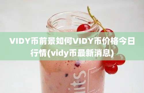 VIDY币前景如何VIDY币价格今日行情(vidy币最新消息)