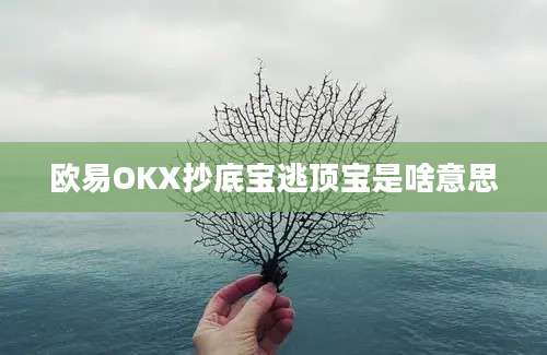 欧易OKX抄底宝逃顶宝是啥意思