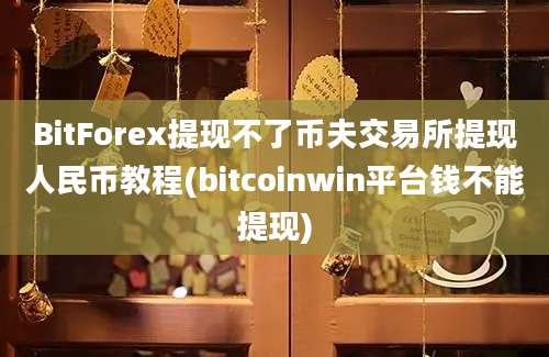 BitForex提现不了币夫交易所提现人民币教程(bitcoinwin平台钱不能提现)