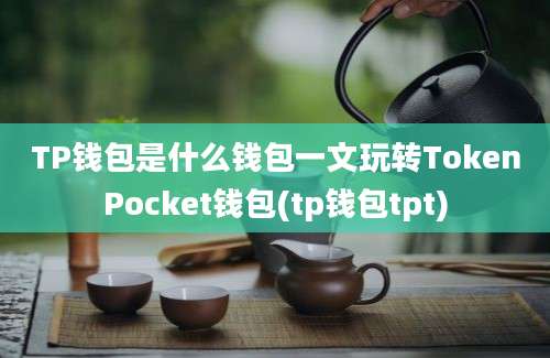 TP钱包是什么钱包一文玩转TokenPocket钱包(tp钱包tpt)