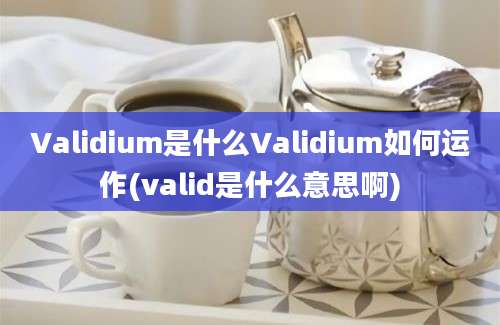 Validium是什么Validium如何运作(valid是什么意思啊)