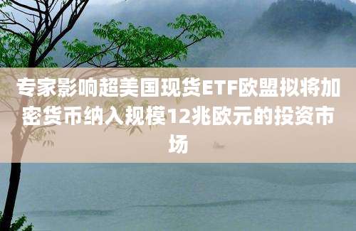 专家影响超美国现货ETF欧盟拟将加密货币纳入规模12兆欧元的投资市场