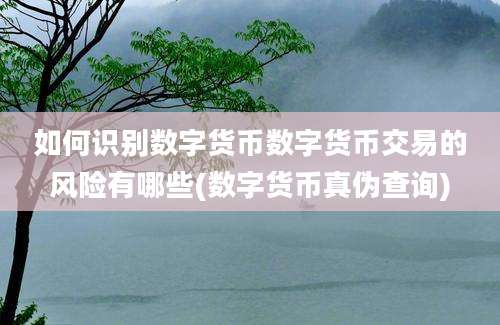 如何识别数字货币数字货币交易的风险有哪些(数字货币真伪查询)