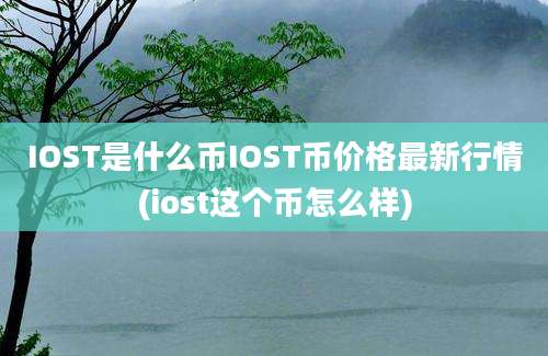 IOST是什么币IOST币价格最新行情(iost这个币怎么样)