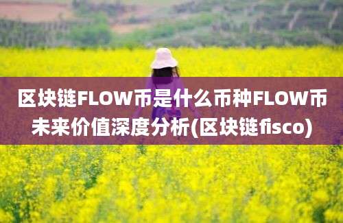 区块链FLOW币是什么币种FLOW币未来价值深度分析(区块链fisco)