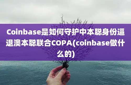 Coinbase是如何守护中本聪身份逼退澳本聪联合COPA(coinbase做什么的)