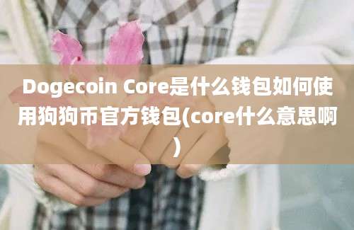 Dogecoin Core是什么钱包如何使用狗狗币官方钱包(core什么意思啊)