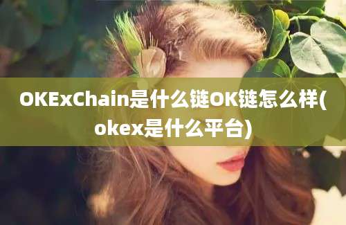 OKExChain是什么链OK链怎么样(okex是什么平台)