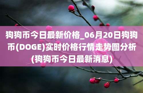 狗狗币今日最新价格_06月20日狗狗币(DOGE)实时价格行情走势图分析(狗狗币今日最新消息)