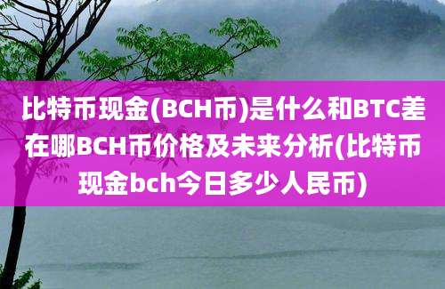 比特币现金(BCH币)是什么和BTC差在哪BCH币价格及未来分析(比特币现金bch今日多少人民币)