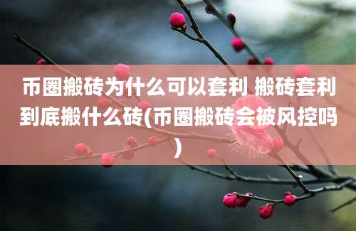 币圈搬砖为什么可以套利 搬砖套利到底搬什么砖(币圈搬砖会被风控吗)