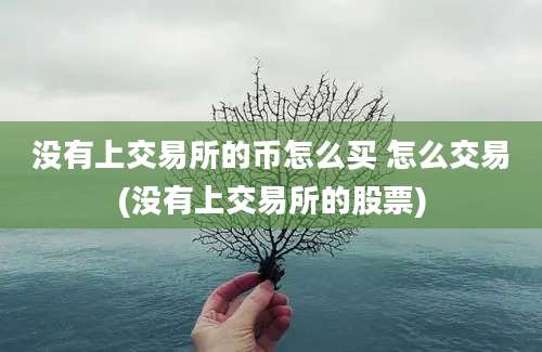 没有上交易所的币怎么买 怎么交易(没有上交易所的股票)