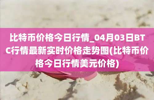 比特币价格今日行情_04月03日BTC行情最新实时价格走势图(比特币价格今日行情美元价格)