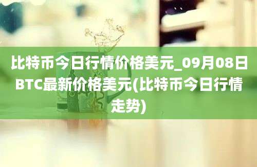 比特币今日行情价格美元_09月08日BTC最新价格美元(比特币今日行情走势)