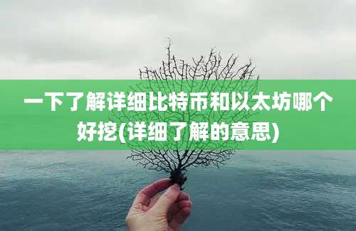 一下了解详细比特币和以太坊哪个好挖(详细了解的意思)