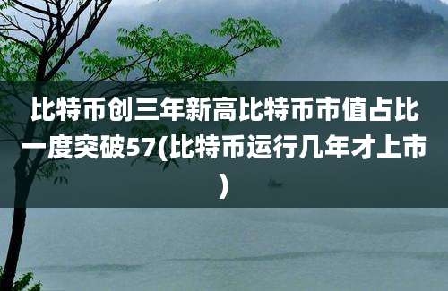 比特币创三年新高比特币市值占比一度突破57(比特币运行几年才上市)