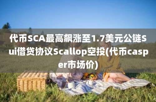 代币SCA最高飙涨至1.7美元公链Sui借贷协议Scallop空投(代币casper市场价)