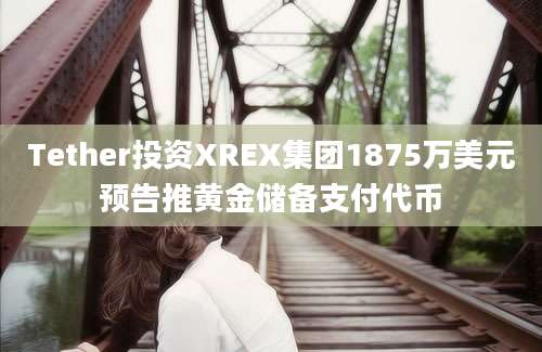 Tether投资XREX集团1875万美元预告推黄金储备支付代币