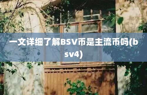 一文详细了解BSV币是主流币吗(bsv4)