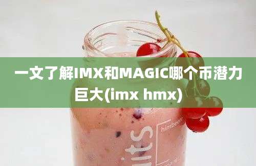 一文了解IMX和MAGIC哪个币潜力巨大(imx hmx)