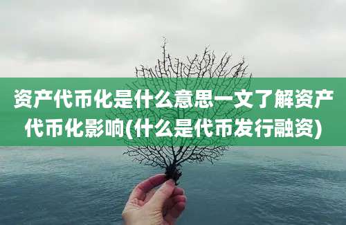 资产代币化是什么意思一文了解资产代币化影响(什么是代币发行融资)