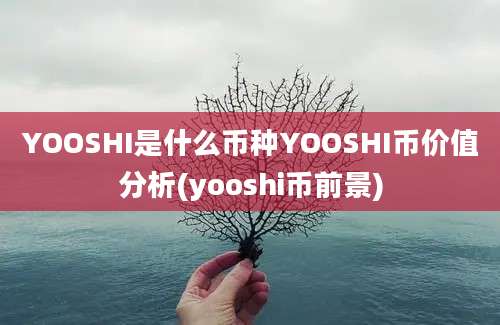 YOOSHI是什么币种YOOSHI币价值分析(yooshi币前景)