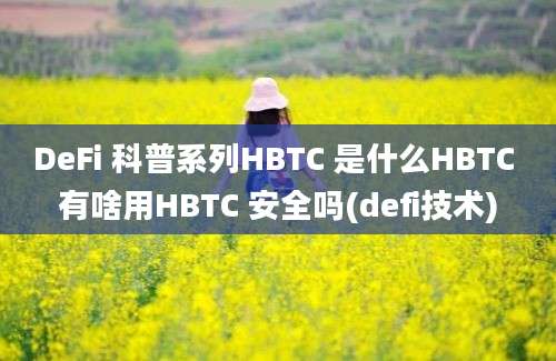 DeFi 科普系列HBTC 是什么HBTC 有啥用HBTC 安全吗(defi技术)