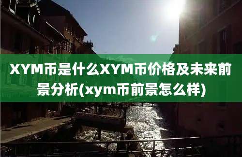 XYM币是什么XYM币价格及未来前景分析(xym币前景怎么样)