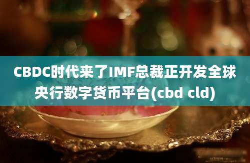 CBDC时代来了IMF总裁正开发全球央行数字货币平台(cbd cld)