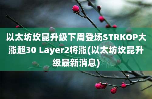 以太坊坎昆升级下周登场STRKOP大涨超30 Layer2将涨(以太坊坎昆升级最新消息)