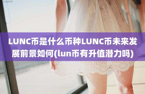 LUNC币是什么币种LUNC币未来发展前景如何(lun币有升值潜力吗)