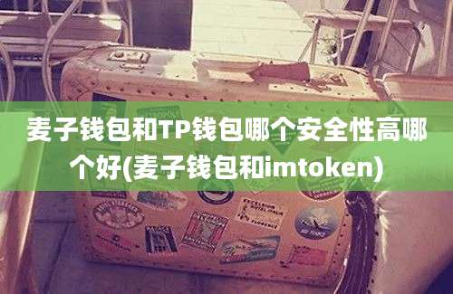 麦子钱包和TP钱包哪个安全性高哪个好(麦子钱包和imtoken)