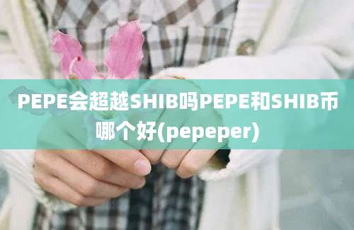 PEPE会超越SHIB吗PEPE和SHIB币哪个好(pepeper)