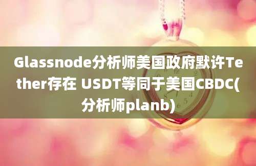 Glassnode分析师美国政府默许Tether存在 USDT等同于美国CBDC(分析师planb)