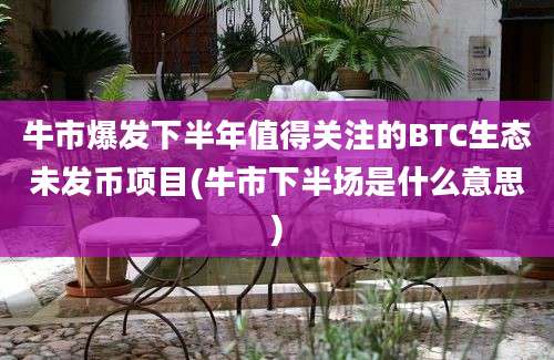 牛市爆发下半年值得关注的BTC生态未发币项目(牛市下半场是什么意思)