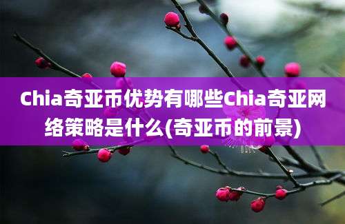 Chia奇亚币优势有哪些Chia奇亚网络策略是什么(奇亚币的前景)