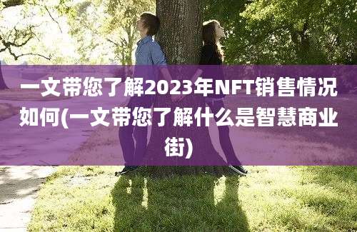 一文带您了解2023年NFT销售情况如何(一文带您了解什么是智慧商业街)