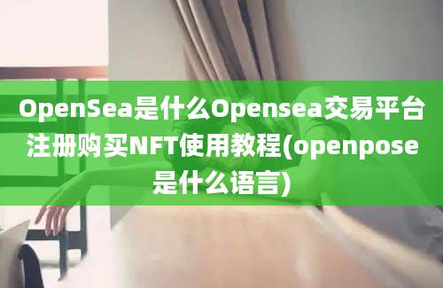 OpenSea是什么Opensea交易平台注册购买NFT使用教程(openpose是什么语言)