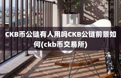 CKB币公链有人用吗CKB公链前景如何(ckb币交易所)