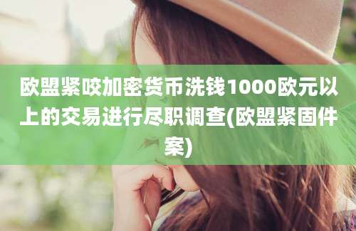 欧盟紧咬加密货币洗钱1000欧元以上的交易进行尽职调查(欧盟紧固件案)