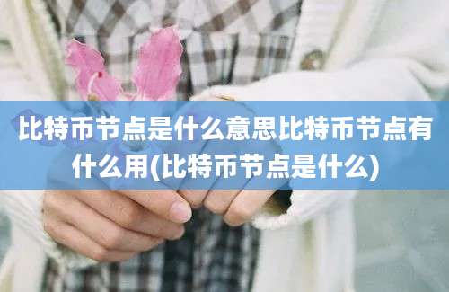 比特币节点是什么意思比特币节点有什么用(比特币节点是什么)