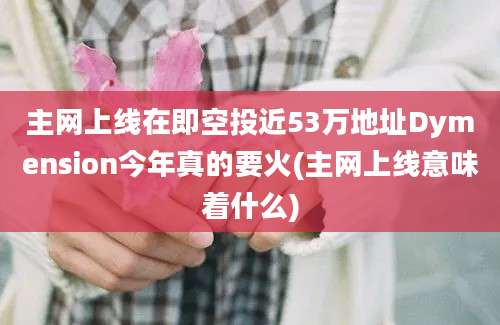 主网上线在即空投近53万地址Dymension今年真的要火(主网上线意味着什么)