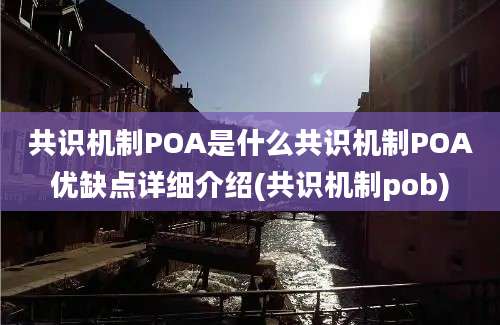 共识机制POA是什么共识机制POA优缺点详细介绍(共识机制pob)