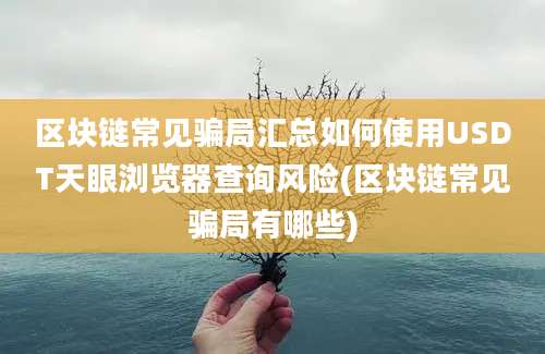 区块链常见骗局汇总如何使用USDT天眼浏览器查询风险(区块链常见骗局有哪些)