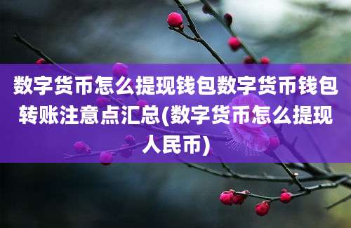 数字货币怎么提现钱包数字货币钱包转账注意点汇总(数字货币怎么提现人民币)