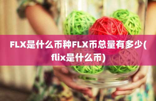 FLX是什么币种FLX币总量有多少(flix是什么币)