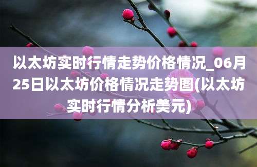 以太坊实时行情走势价格情况_06月25日以太坊价格情况走势图(以太坊实时行情分析美元)