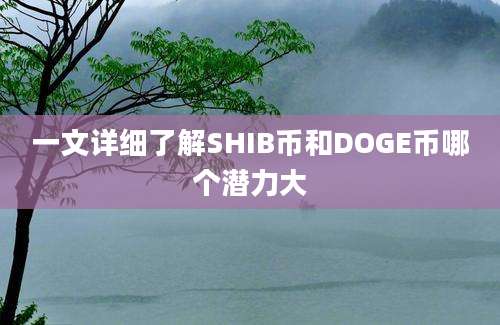 一文详细了解SHIB币和DOGE币哪个潜力大