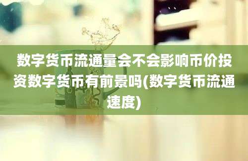 数字货币流通量会不会影响币价投资数字货币有前景吗(数字货币流通速度)